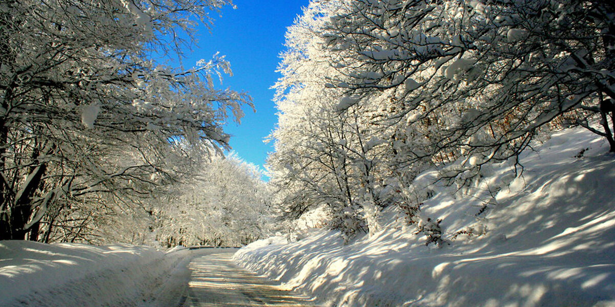 Prevalla photo