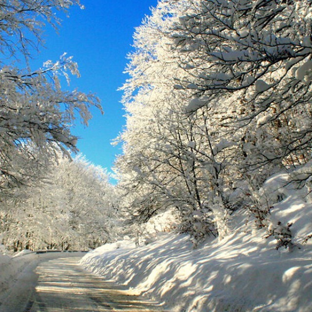 Snow-covered mountain road under a clear blue sky